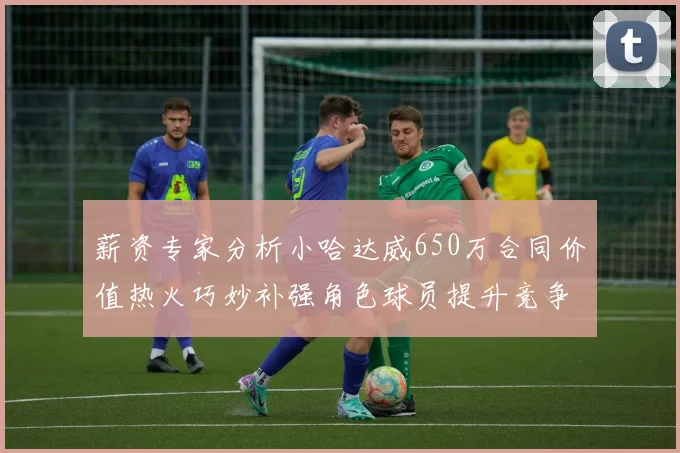 薪资专家分析小哈达威650万合同价值热火巧妙补强角色球员提升竞争力