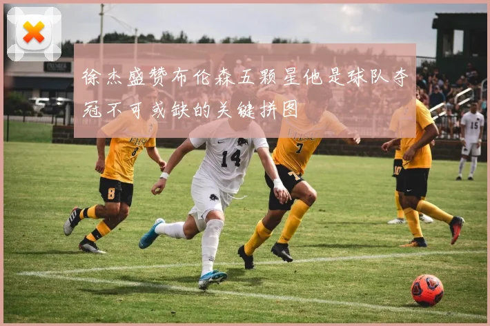 徐杰盛赞布伦森五颗星他是球队夺冠不可或缺的关键拼图